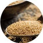 Sesame seeds, one of the Parasi Cleaner ingredients